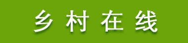 乡村在线